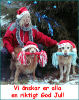 julkort fr&aring;n Smulan 2005. Smulan till v&auml;nster.